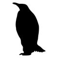 Black silhouette of a penguin on a white background. Royalty Free Stock Photo