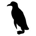 Black silhouette of a penguin on a white background. Royalty Free Stock Photo