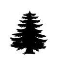 Black silhouette of pine tree icon isolated on white background. Royalty Free Stock Photo