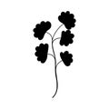 black silhouette of a plant, isolated on a white background