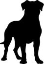 Presa Canario Black Silhouette Generative Ai