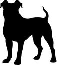 Presa Canario Black Silhouette Generative Ai