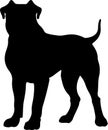 Presa Canario Black Silhouette Generative Ai