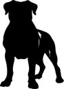 Presa Canario Black Silhouette Generative Ai