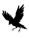 Black Silhouette Raven Bird Cartoon Crow Design Flat Vector Animal Illustration Isolated On White Background