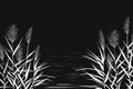 Black silhouette of reeds, sedge, cane, bulrush, or grass on a white background.Vector illustration. Royalty Free Stock Photo