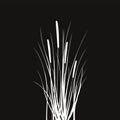 Black silhouette of reeds, sedge, cane, bulrush, or grass on a white background.Vector illustration. Royalty Free Stock Photo