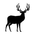 Black silhouette of reindeer with big horns on white background Royalty Free Stock Photo