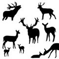 Black silhouette of reindeer with horns, deer isolated on white background. Set. Sticker Cutting plotter. Laser cutting