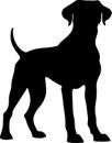 Rhodesian Ridgeback Black Silhouette Generative Ai Royalty Free Stock Photo