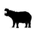 Black silhouette of roaring hippopotamus on white background. Isolated hippo icon. Wild african animals Royalty Free Stock Photo