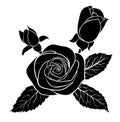 Black silhouette rose, isolated on white Royalty Free Stock Photo