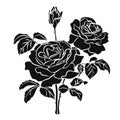 Black silhouette of rose