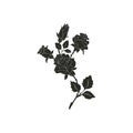 Black silhouette roses and leaves. Rose tattoo