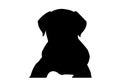 Black silhouette of a Rottweiler puppy on a white background. Two-month-old pet lying on the floor. Cute female dog