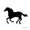 Black silhouette of running horse. Isolated detailed drawing of mustang on white background. Side view Royalty Free Stock Photo