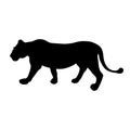 Black silhouette of running lioness on white background illustration