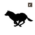 Black silhouette of running wolf on white background. Forest animals. Detailed isolated image