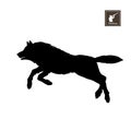 Black silhouette of running wolf on white background. Forest animals. Detailed isolated image