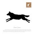 Black silhouette of a running wolf on a white background. Forest animals Royalty Free Stock Photo