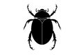 black silhouette of a scarab beetle, vector insect isolated on a white background Royalty Free Stock Photo