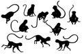 Black silhouette set of cute vervet monkey cartoon animal design flat vector illustration isolated on white background Royalty Free Stock Photo