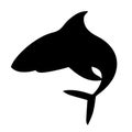 Black silhouette shark giant apex predator cartoon animal design flat vector illustration isolated on white background Royalty Free Stock Photo