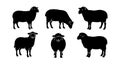 Black silhouette sheep vector set with various poses for farm and animal design elements Royalty Free Stock Photo