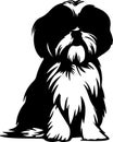 Shih Tzu Black Silhouette Generative Ai Royalty Free Stock Photo