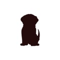 Black silhouette of sitting labrador puppy front view flat style, vector illustration Royalty Free Stock Photo