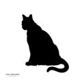 Black silhouette of sitting puma. Isolated image of cougar on white background. Animal of North America Royalty Free Stock Photo