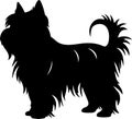 Skye Terrier Black Silhouette Generative Ai