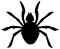 Black silhouette of a spider. Vector illustration Royalty Free Stock Photo