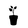 Black silhouette of sprouting plant in the pot
