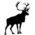 Black silhouette stag Royalty Free Stock Photo