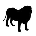 Black silhouette of standing lion on white background of vector