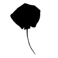 Black Silhouette Stingray. Numb-fish Vector