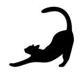 Black silhouette of a stretching cat isolated on a white background Royalty Free Stock Photo