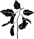 Black silhouette of stylized eggplant with fruits and leaves