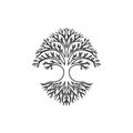 Black silhouette of a stylized tree with symmetrical branches and roots on a white Royalty Free Stock Photo