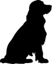 Sussex Spaniel Black Silhouette Generative Ai