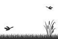 Black silhouette of swamp grass with reeds and flying ducks. Lake reed, background. Royalty Free Stock Photo