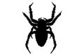 Black silhouette of terrible spider vector illustration