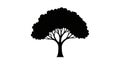 Black silhouette of a tree against a white background, featuring a broad canopy and a sturdy trunk. Royalty Free Stock Photo