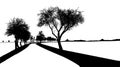 Black silhouette of tree with bare branches around road