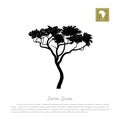 Black silhouette of a tree and white background. African nature. Umbrella acacia Royalty Free Stock Photo