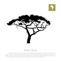 Black silhouette of a tree and white background. African nature. Umbrella acacia Royalty Free Stock Photo