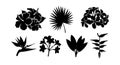 Black silhouette tropical flowers and leaves vector set with different shapes and styles for design elements Royalty Free Stock Photo