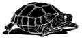 Black silhouette turtle icon. Cartoon of tropical turtle vector icon for web design Royalty Free Stock Photo