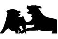Black silhouette of two fighting dogs. Two young female Rottweilers fighting for hierarchy. Maturation and puberty in the pets Royalty Free Stock Photo